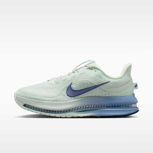 Nike Pegasus Premium women's